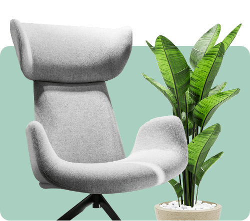 Waterman designer chair and plant on light green background