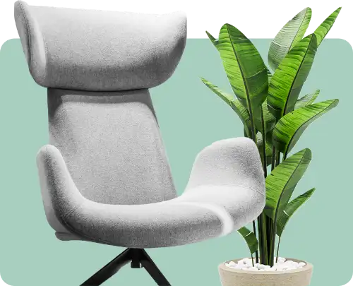 Designer Chair And Plant On Light Green Background