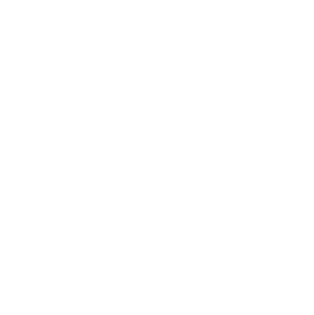 Symbol Waterman Logo REV
