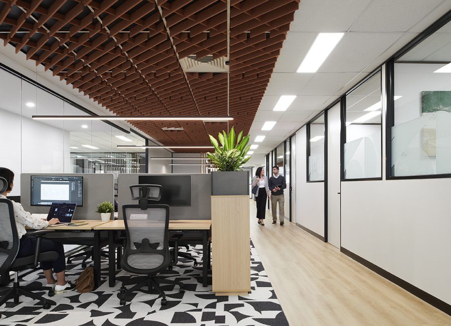 沃特曼-蒙特-艾伯特联合办公空间的开放式办公空间